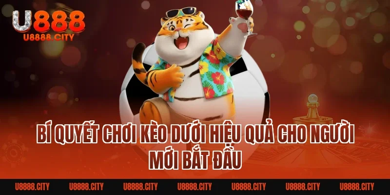 Kèo Dưới Là Gì? Bí Quyết Tham Gia Hiệu Quả Cho Người Mới 5 Bí Quyết Chơi Kèo Dưới Hiệu Quả Cho Người Mới Bắt Đầu